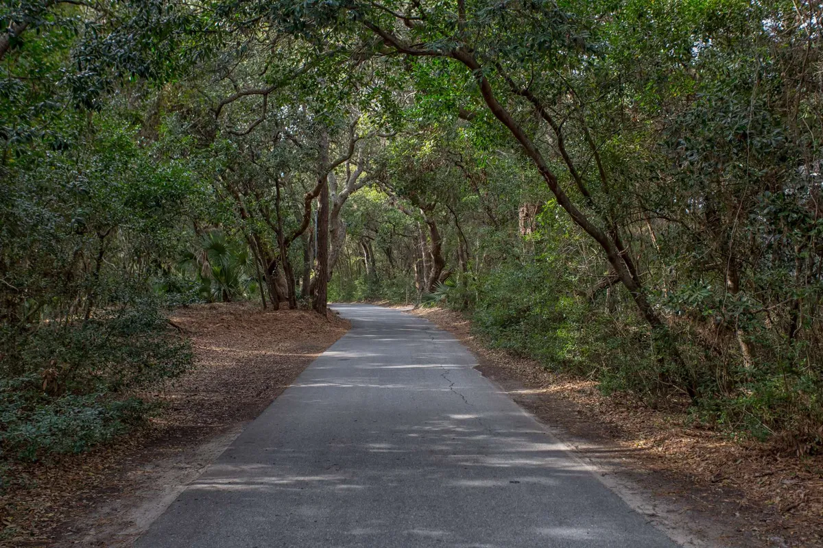 This exterior scene captures a paved road winding under tree canopies surrounded by lush foliage. The peaceful setting subtly hints at the types of scenic trails and natural beauty guests can explore using the provided bicycles and golf carts.
